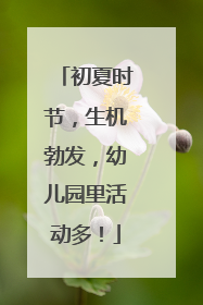 初夏时节，生机勃发，幼儿园里活动多！