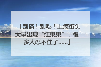 别摘！别吃！上海街头大量出现“红果果”，很多人忍不住了……