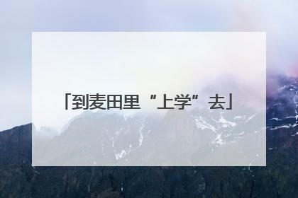 到麦田里“上学”去