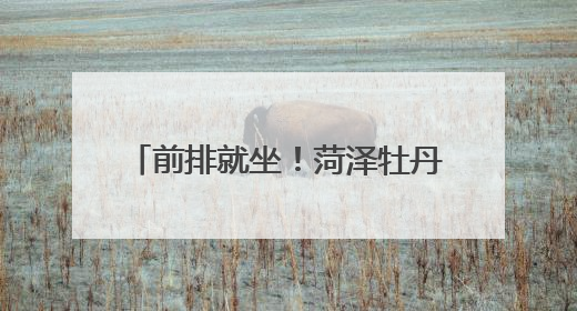 前排就坐！菏泽牡丹区交通安全课开讲