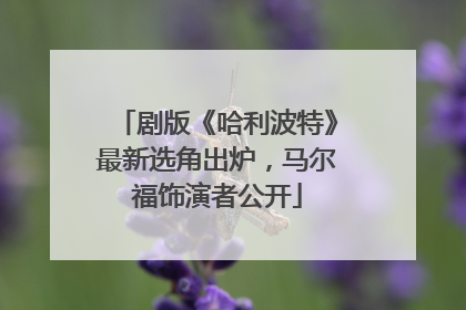 剧版《哈利波特》最新选角出炉，马尔福饰演者公开