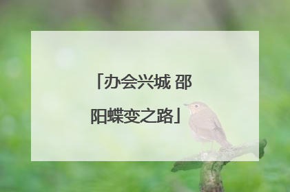 办会兴城 邵阳蝶变之路