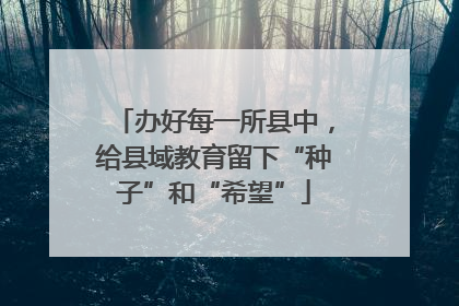 办好每一所县中，给县域教育留下“种子”和“希望”