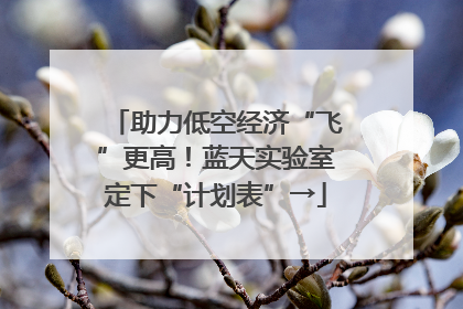 助力低空经济“飞”更高！蓝天实验室定下“计划表”→
