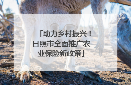 助力乡村振兴！日照市全面推广农业保险新政策