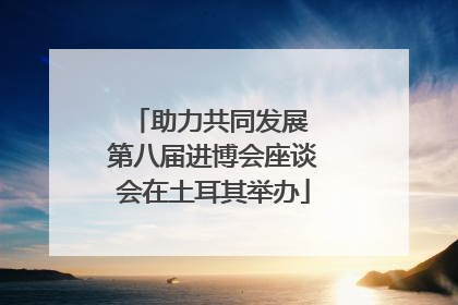 助力共同发展 第八届进博会座谈会在土耳其举办