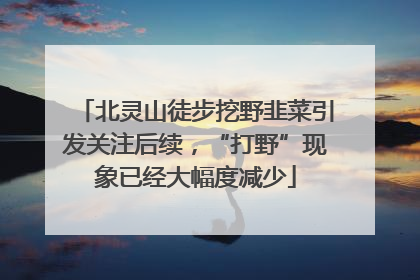 北灵山徒步挖野韭菜引发关注后续，“打野”现象已经大幅度减少