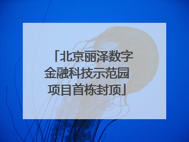 北京丽泽数字金融科技示范园项目首栋封顶