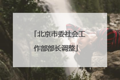 北京市委社会工作部部长调整