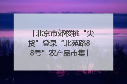 北京市郊樱桃“尖货”登录“北苑路88号”农产品市集