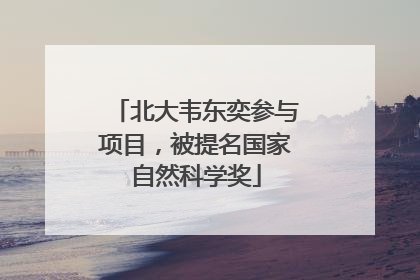 北大韦东奕参与项目，被提名国家自然科学奖