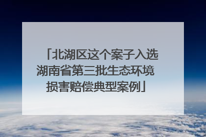 北湖区这个案子入选湖南省第三批生态环境损害赔偿典型案例