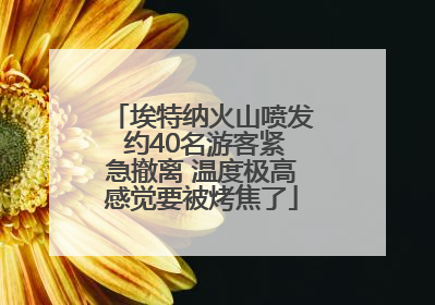 埃特纳火山喷发 约40名游客紧急撤离 温度极高感觉要被烤焦了