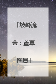 坡岭流金：萱草图景