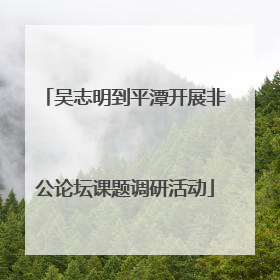 吴志明到平潭开展非公论坛课题调研活动