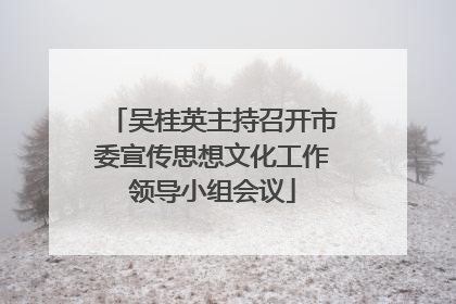 吴桂英主持召开市委宣传思想文化工作领导小组会议