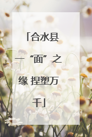 合水县 一“面”之缘 捏塑万千