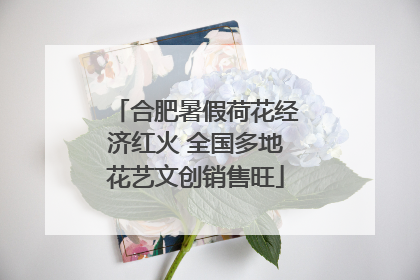 合肥暑假荷花经济红火 全国多地花艺文创销售旺