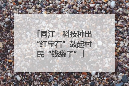 同江：科技种出“红宝石”鼓起村民“钱袋子”