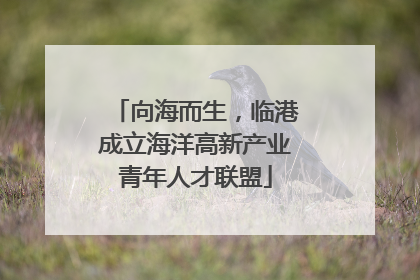 向海而生，临港成立海洋高新产业青年人才联盟