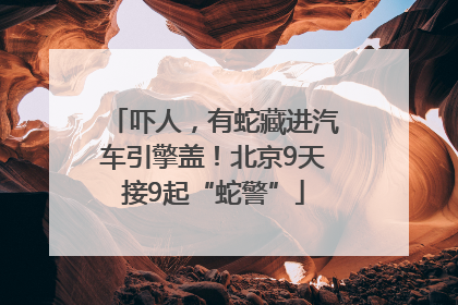 吓人，有蛇藏进汽车引擎盖！北京9天接9起“蛇警”