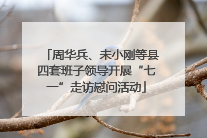 周华兵、未小刚等县四套班子领导开展“七一”走访慰问活动