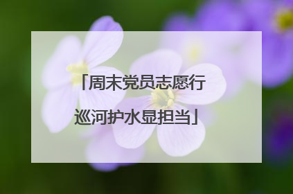 周末党员志愿行 巡河护水显担当