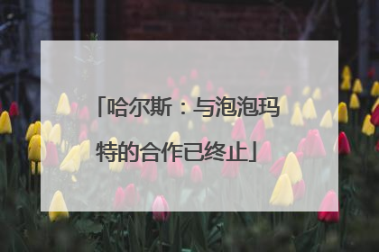 哈尔斯：与泡泡玛特的合作已终止