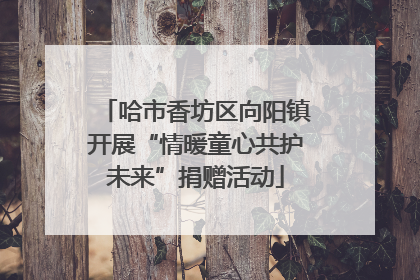哈市香坊区向阳镇开展“情暖童心共护未来”捐赠活动