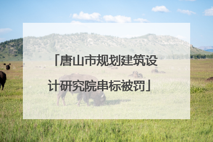 唐山市规划建筑设计研究院串标被罚