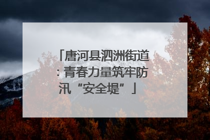唐河县泗洲街道：青春力量筑牢防汛“安全堤”