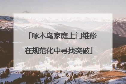 啄木鸟家庭上门维修在规范化中寻找突破