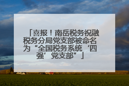喜报！南岳税务祝融税务分局党支部被命名为“全国税务系统‘四强’党支部”