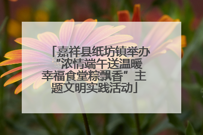 嘉祥县纸坊镇举办“浓情端午送温暖 幸福食堂粽飘香”主题文明实践活动