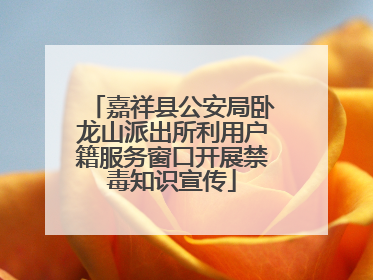 嘉祥县公安局卧龙山派出所利用户籍服务窗口开展禁毒知识宣传
