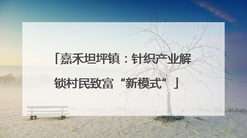嘉禾坦坪镇：针织产业解锁村民致富“新模式”