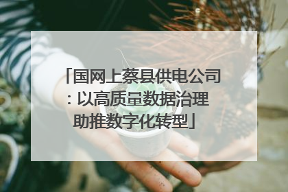 国网上蔡县供电公司：以高质量数据治理 助推数字化转型
