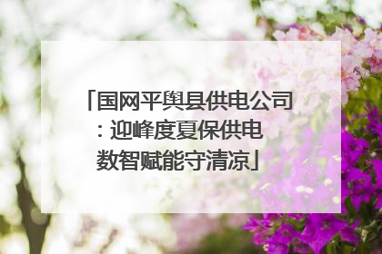 国网平舆县供电公司：迎峰度夏保供电  数智赋能守清凉