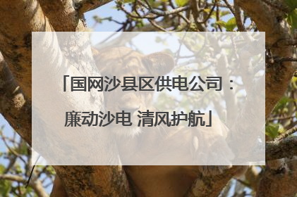 国网沙县区供电公司：廉动沙电 清风护航