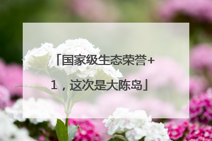 国家级生态荣誉+1，这次是大陈岛