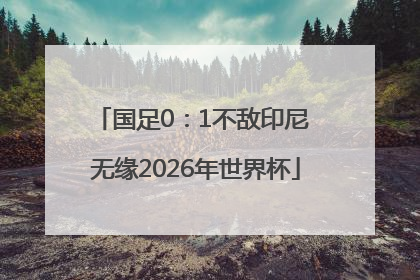 国足0：1不敌印尼 无缘2026年世界杯