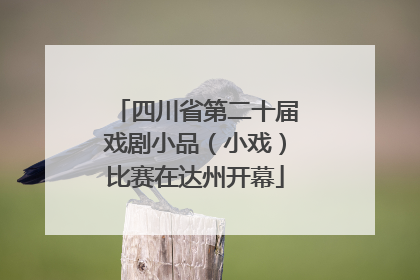 四川省第二十届戏剧小品（小戏）比赛在达州开幕