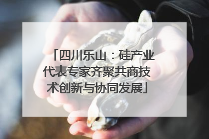 四川乐山：硅产业代表专家齐聚共商技术创新与协同发展