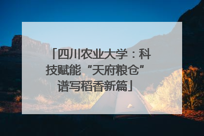 四川农业大学：科技赋能“天府粮仓”谱写稻香新篇