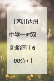 四川达州中学一对双胞胎同上600分+