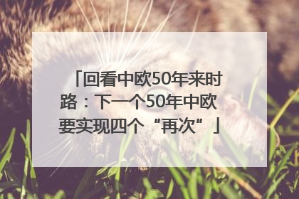 回看中欧50年来时路：下一个50年中欧要实现四个“再次”