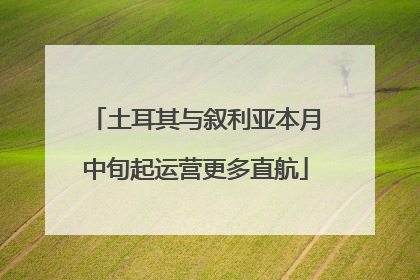 土耳其与叙利亚本月中旬起运营更多直航