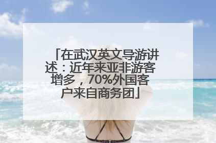 在武汉英文导游讲述：近年来亚非游客增多，70%外国客户来自商务团