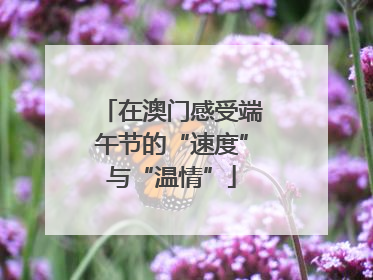 在澳门感受端午节的“速度”与“温情”