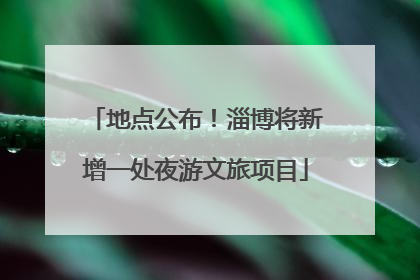 地点公布！淄博将新增一处夜游文旅项目